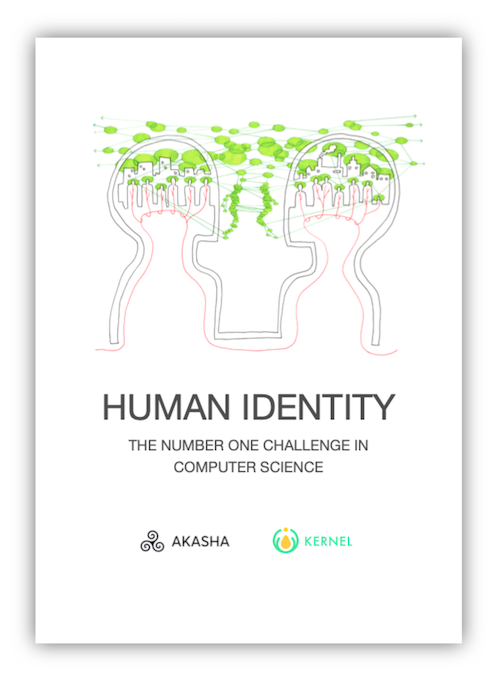 The front cover of the essay in PDF and ebook forms.